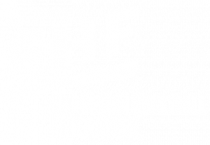 ehf-logo.png